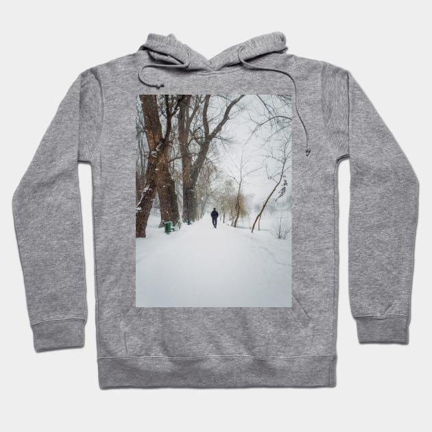 wandering the snowy park Hoodie by psychoshadow